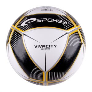 VIVACITY